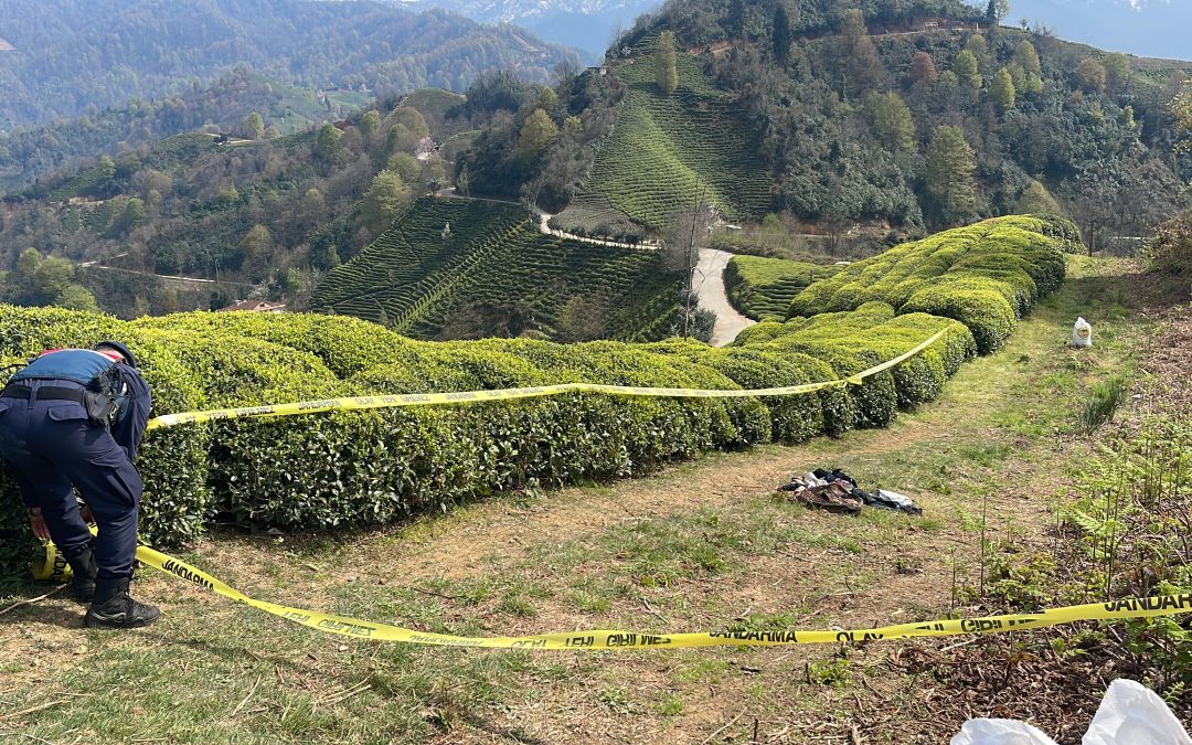 Rize’de Çay Bahçesinde Erkek Cesedi Bulundu