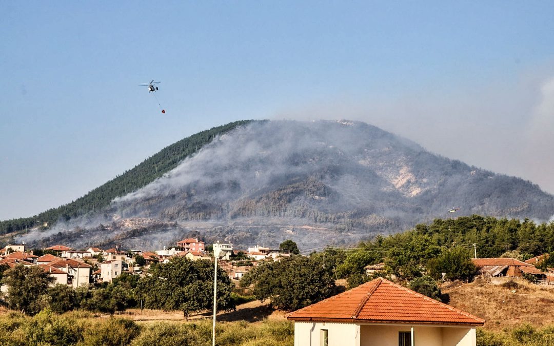 Orman Yangını Sonrası Yeniden Ağaçlandırma Çalışmaları devam Ediyor