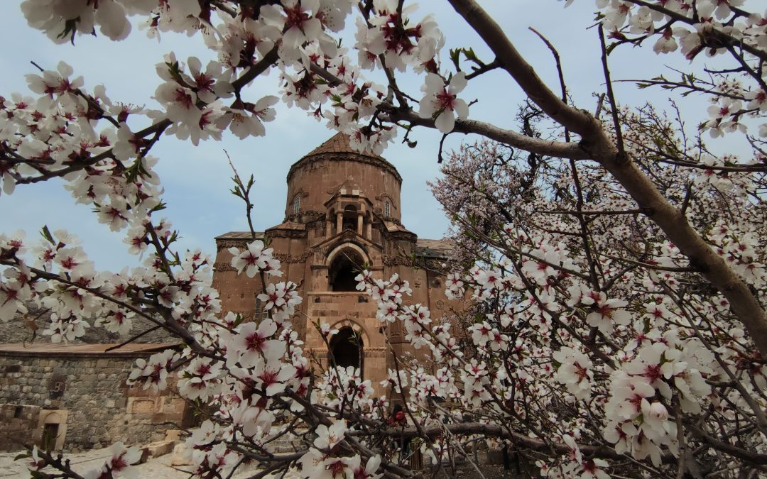 Akdamar Adası, Badem Ağaçlarıyla Renkleniyor