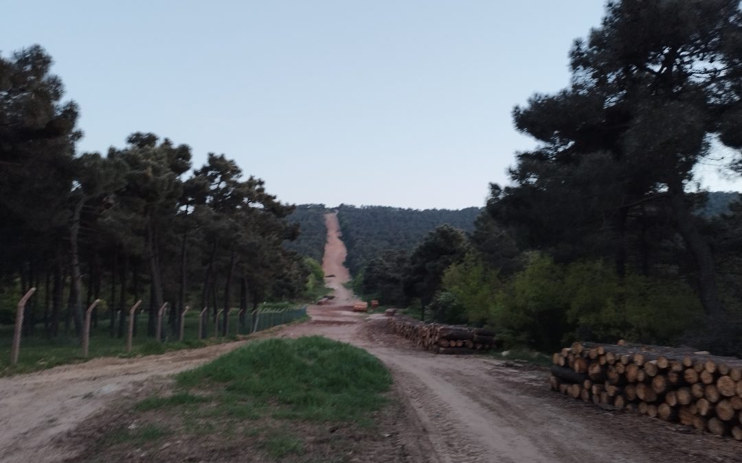 Aydos Ormanı Sultanbeyli’de Çıkan Yangın Söndürüldü