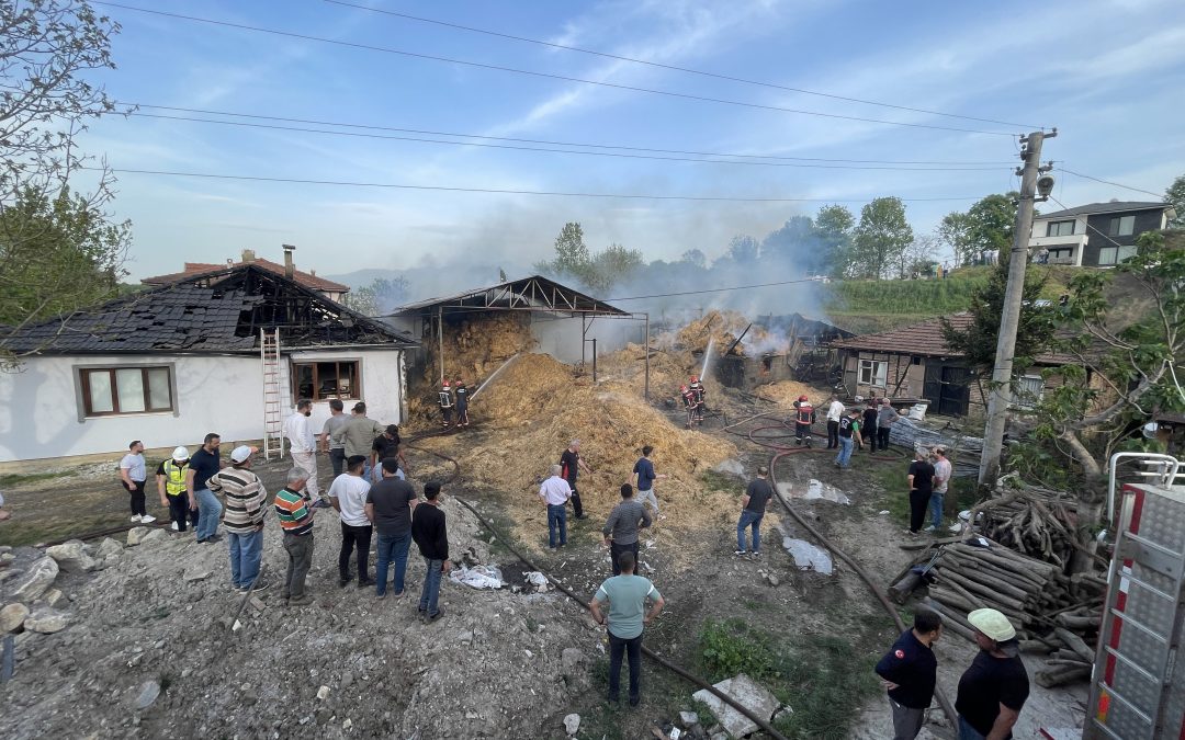 Ahırda çıkan yangın Sakarya’da 25 büyükbaşın telef olmasına neden oldu