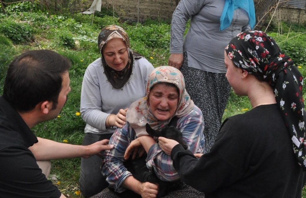 Bolu’da çıkan yangında kurtarılan yavru öküze kavuşan kadın sevinçten ağladı