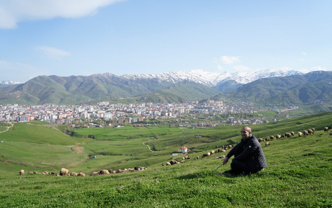 Kaval Sesini Başparmağıyla Çıkaran Muşlu Çobanın Yeteneği