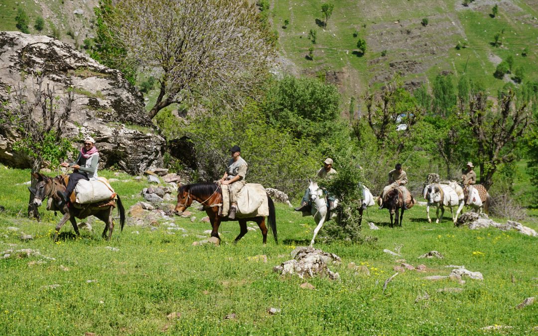 Dağlarda Yetişen Şifalı Otlar Vatandaşları Dağlara Çekiyor