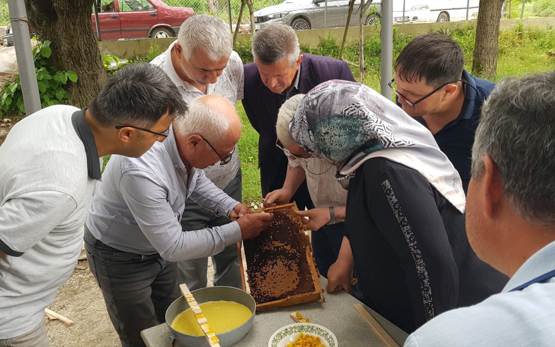 Karabük’te Arıcılara Ana Arı Yetiştirme Kursu verildi