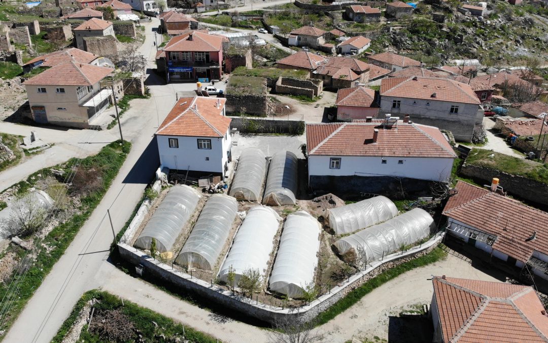 Aksaray’daki Kıyıde Seracılık Geçim Kaynağı Oldu