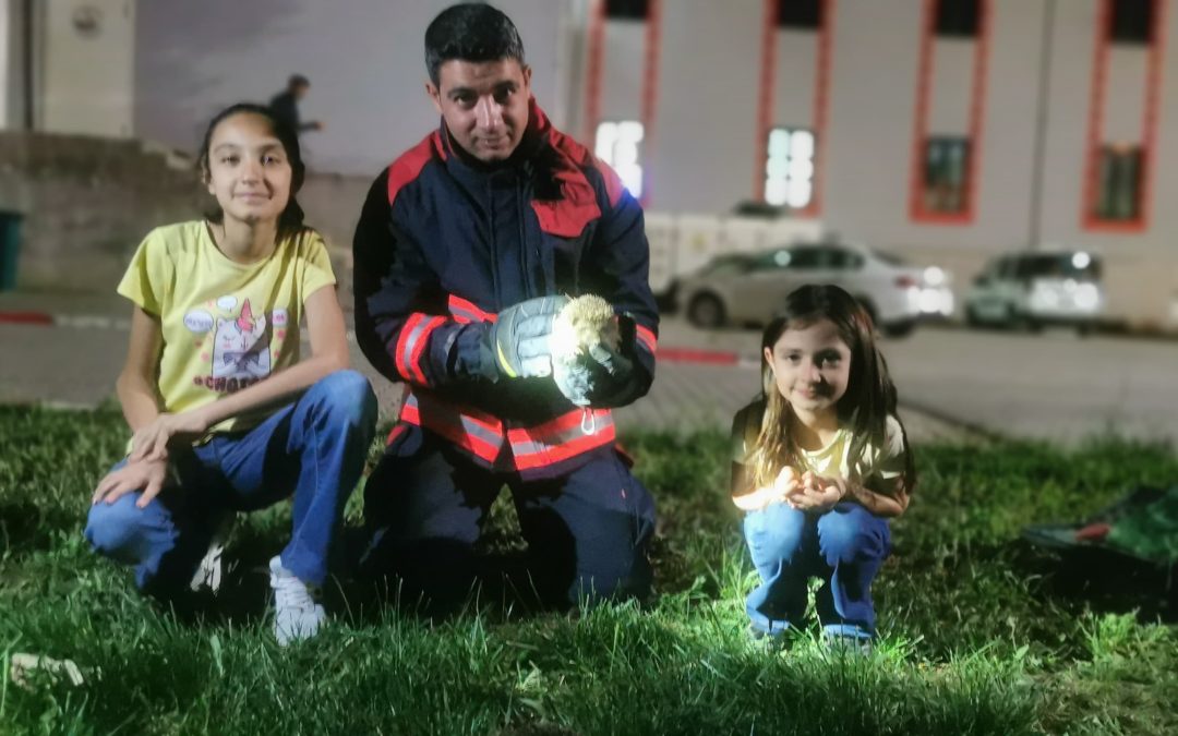 Rögar Borusuna Düşen Kirpiler Malatya’da Kurtarıldı