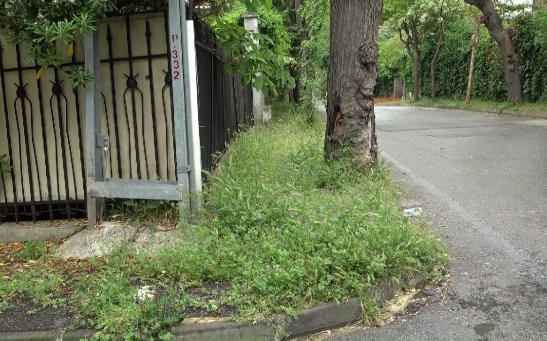 Adalar’da Bakımsızlık ve Çöp Sorunu