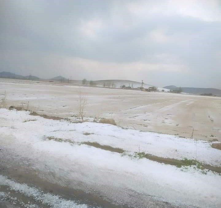 Nevşehir’de Dolu Yağışı Meyve Ağaçlarına Zarar Verdi