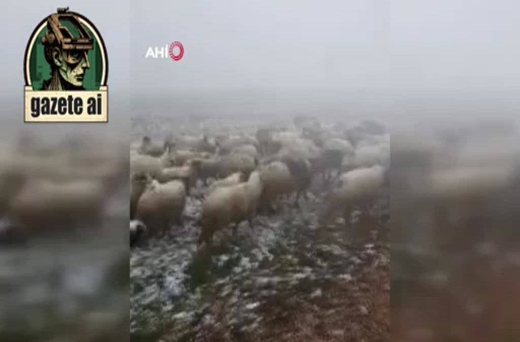 Tokat’ta Mayıs Ayında Kar Yağışıyla Yayla Beyaza Büründü