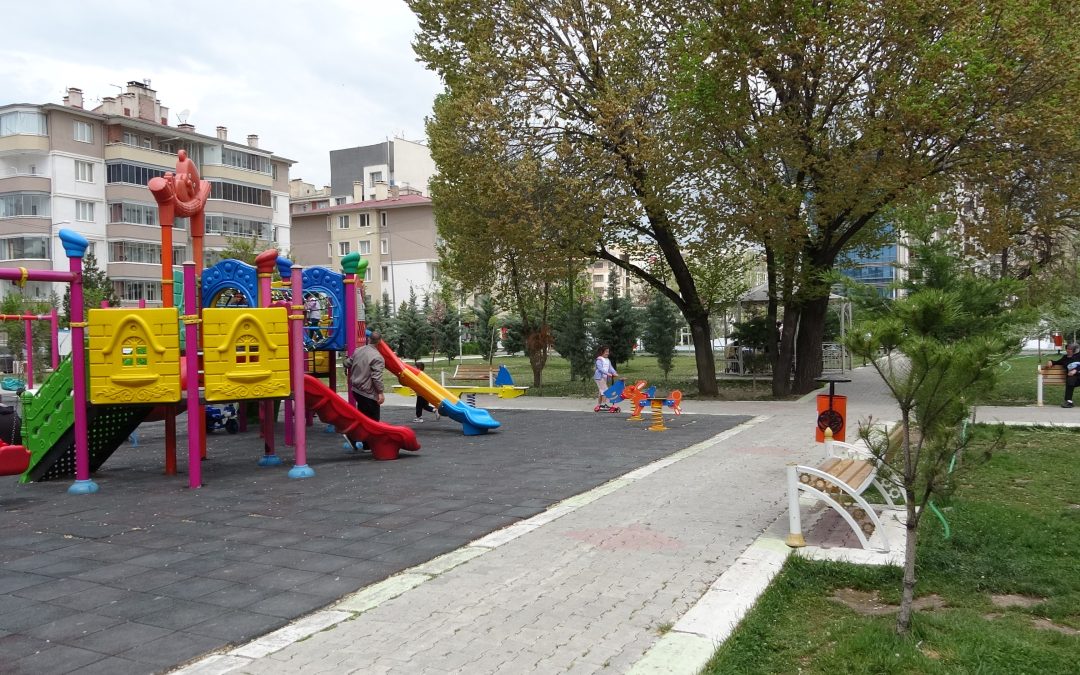 Van Sağlık Uzmanları Kene Uyarısında Bulundu: Kırım Kongo Kanamalı Ateşi Virüsüne Dikkat!