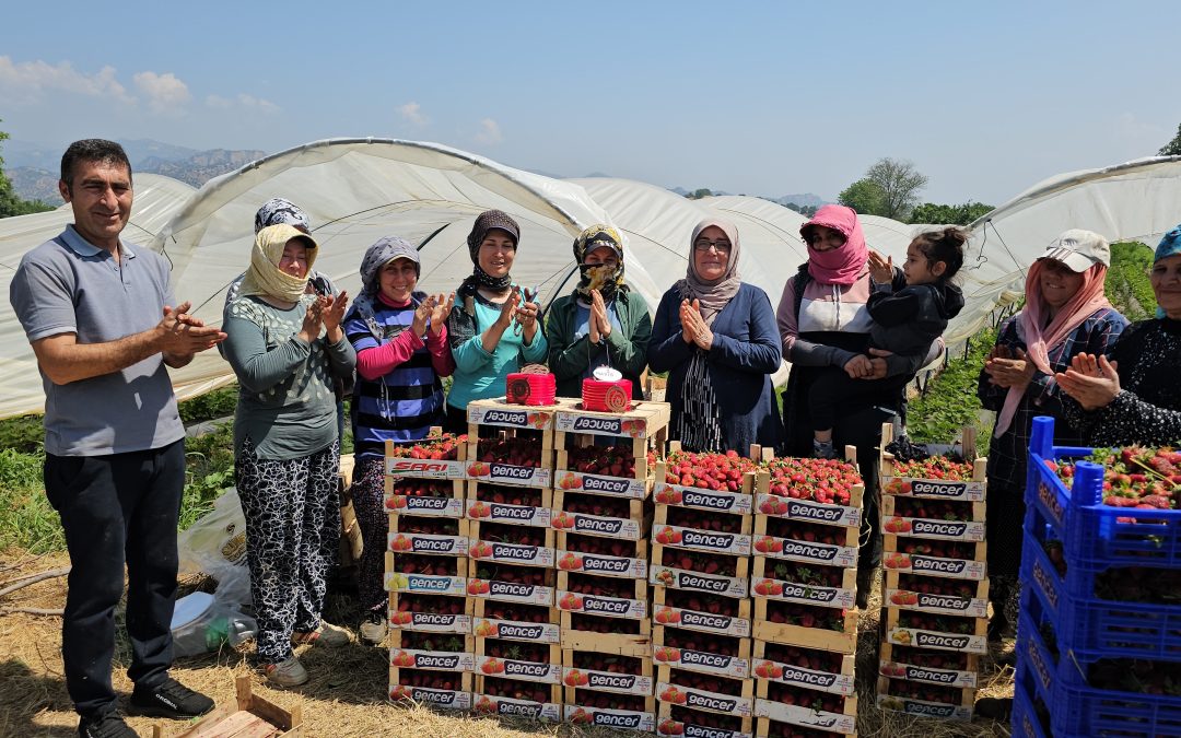 Tarım İşçileri 1 Mayıs’ı Tarlada Pasta Keserek Kutladı