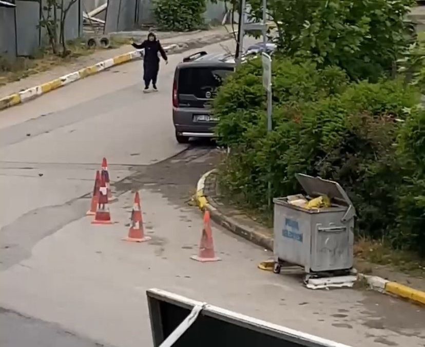 Pendik’te Genç Kadın Araçlara Saldırdı, Mahalleli Tepki Gösterdi