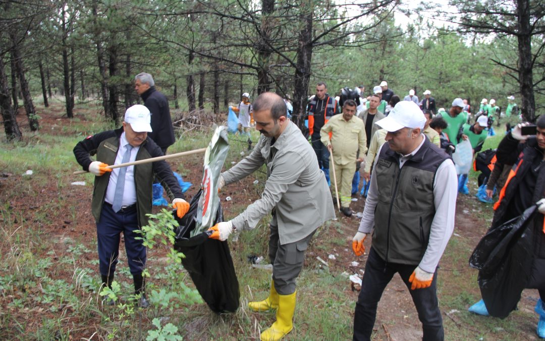 Ormanlarda Piknik Yapmayalım ve Ateş Yakmayalım çağrısı