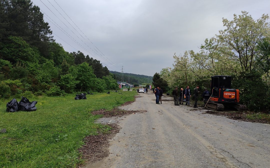 Istanbul Valisi Gül Ormanda Çocuklarla Odun Topladı