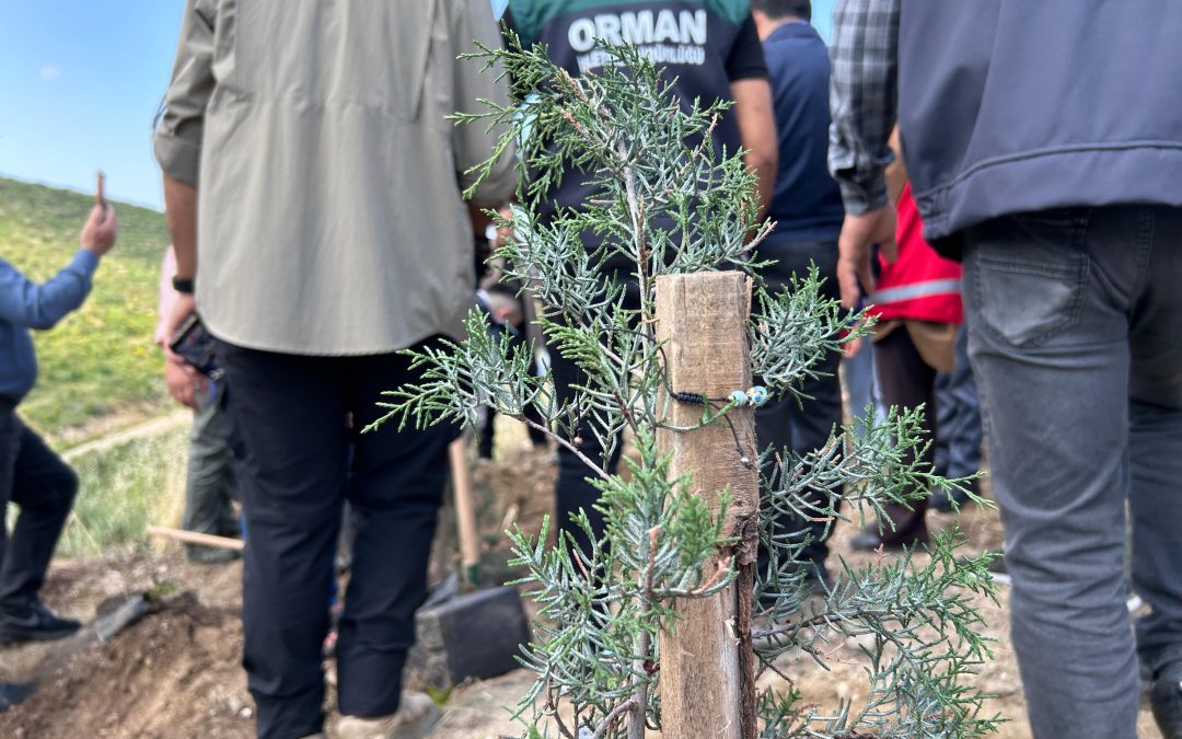 Hatay’da “Orman Benim” Kampanyası Kapsamında Fidan Dikimi Gerçekleştirildi