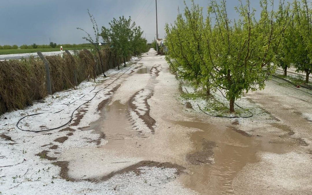 Karaman’da Dolu ve Sel 100 Bin Dekar Ekili Alanda Zarara Yol Açtı