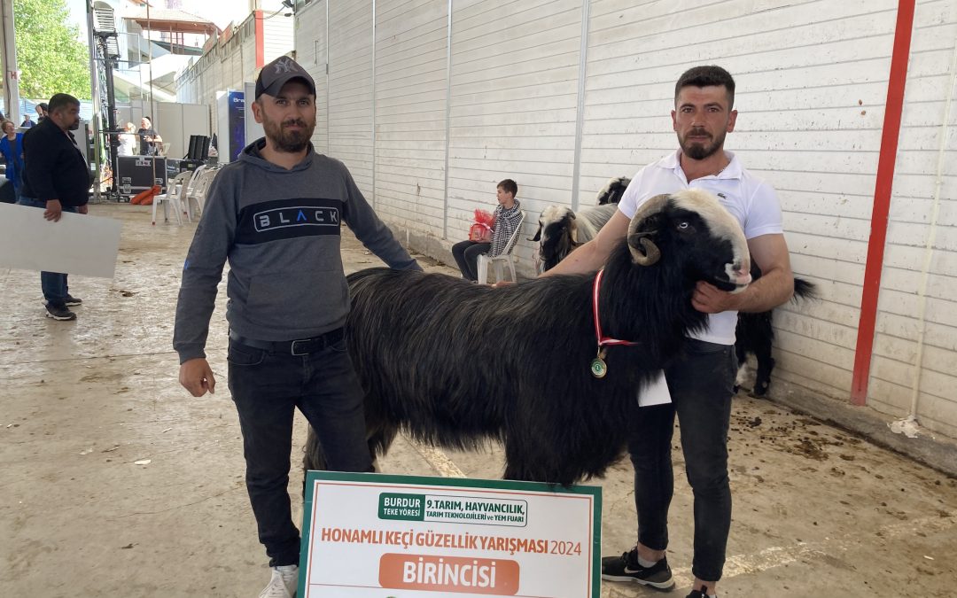 Burdur’da Teke ve Koç Güzellik Yarışması Renkli Görüntülere Sahne Oldu