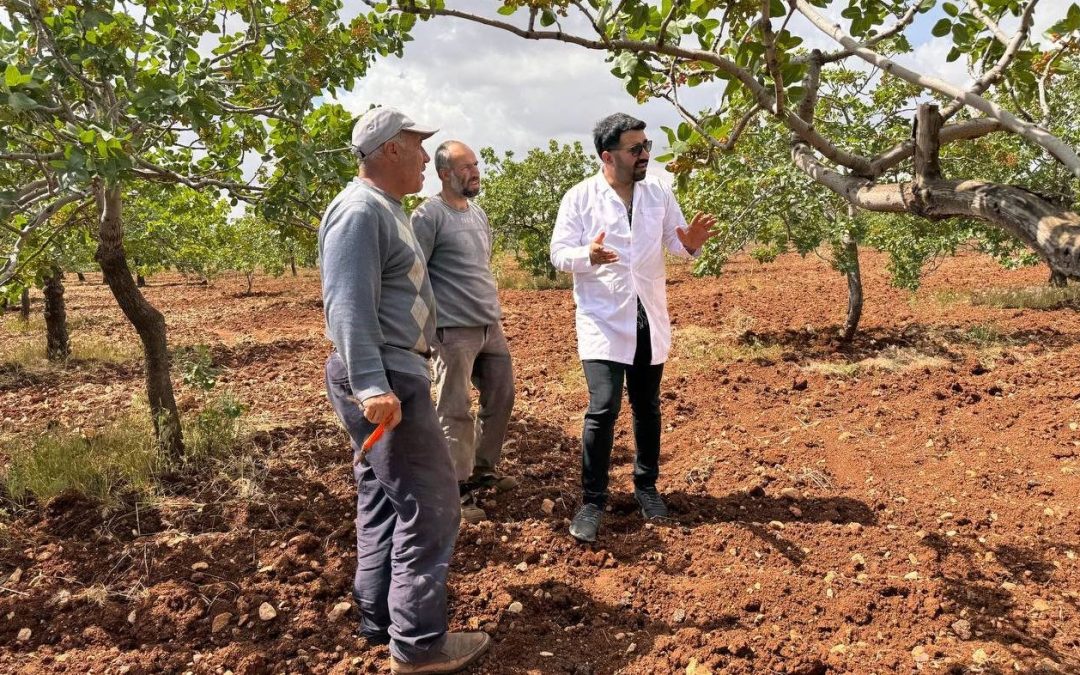 Dolu ve Yağmur Sonrası Ziraat Mühendisleri Tarım Sigortalarının Önemini Vurguluyor