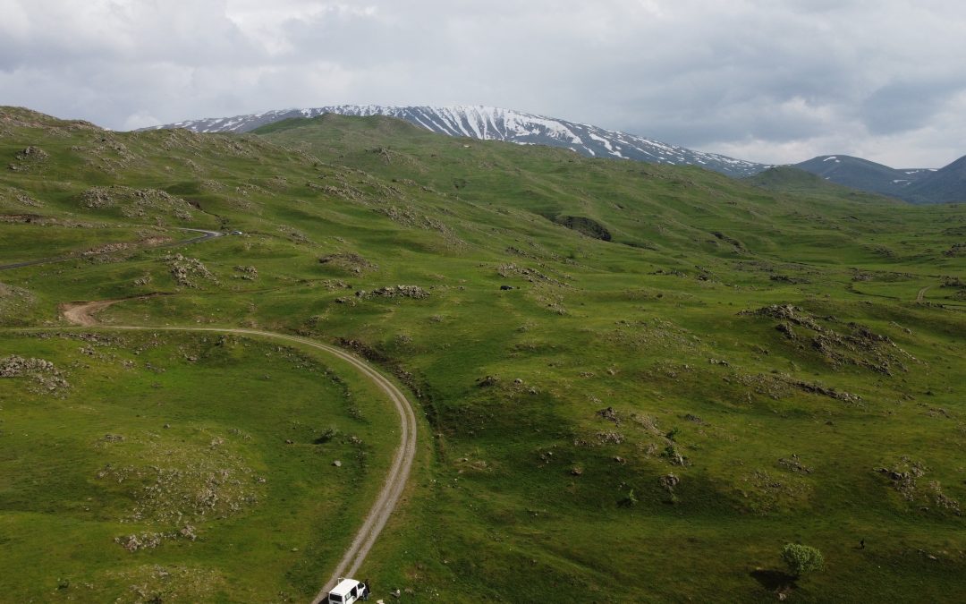 Iğdır’da Yağmur Sonrası Dağlar Yeşile Büründü