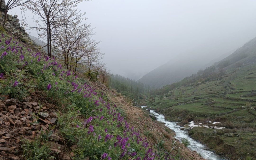 Erzurum’da Mayıs Ayında Kar Sürprizi