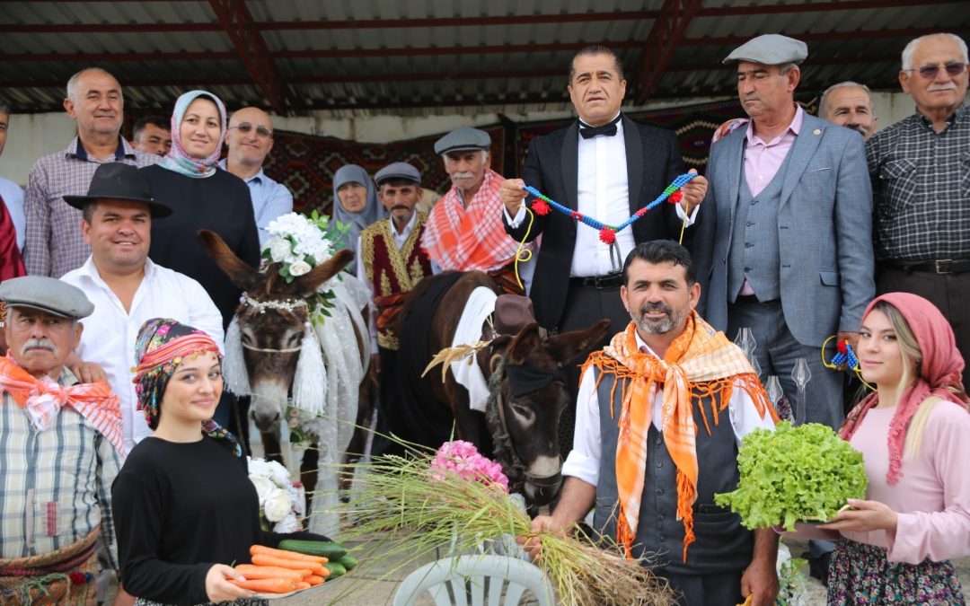 Eşeklere Sembolik Düğün Yapıldı Kumluca’da