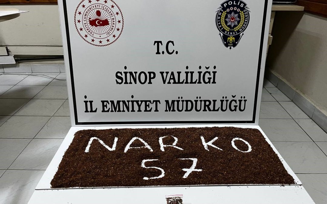 Sinop’ta Yarım Kilo Bonzai Ele Geçirildi